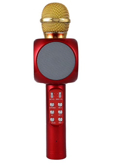 Microfon Karaoke Wireles cu Boxa si Lumini GAVE imagine noua 2022